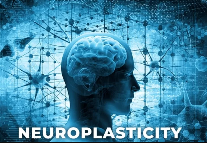 Neuroplastisitas di Tengah Badai AI